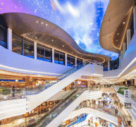 本次估计引入从力店品牌20